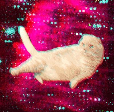 猫界大麻猫薄荷 简直要被活活笑死了 知乎