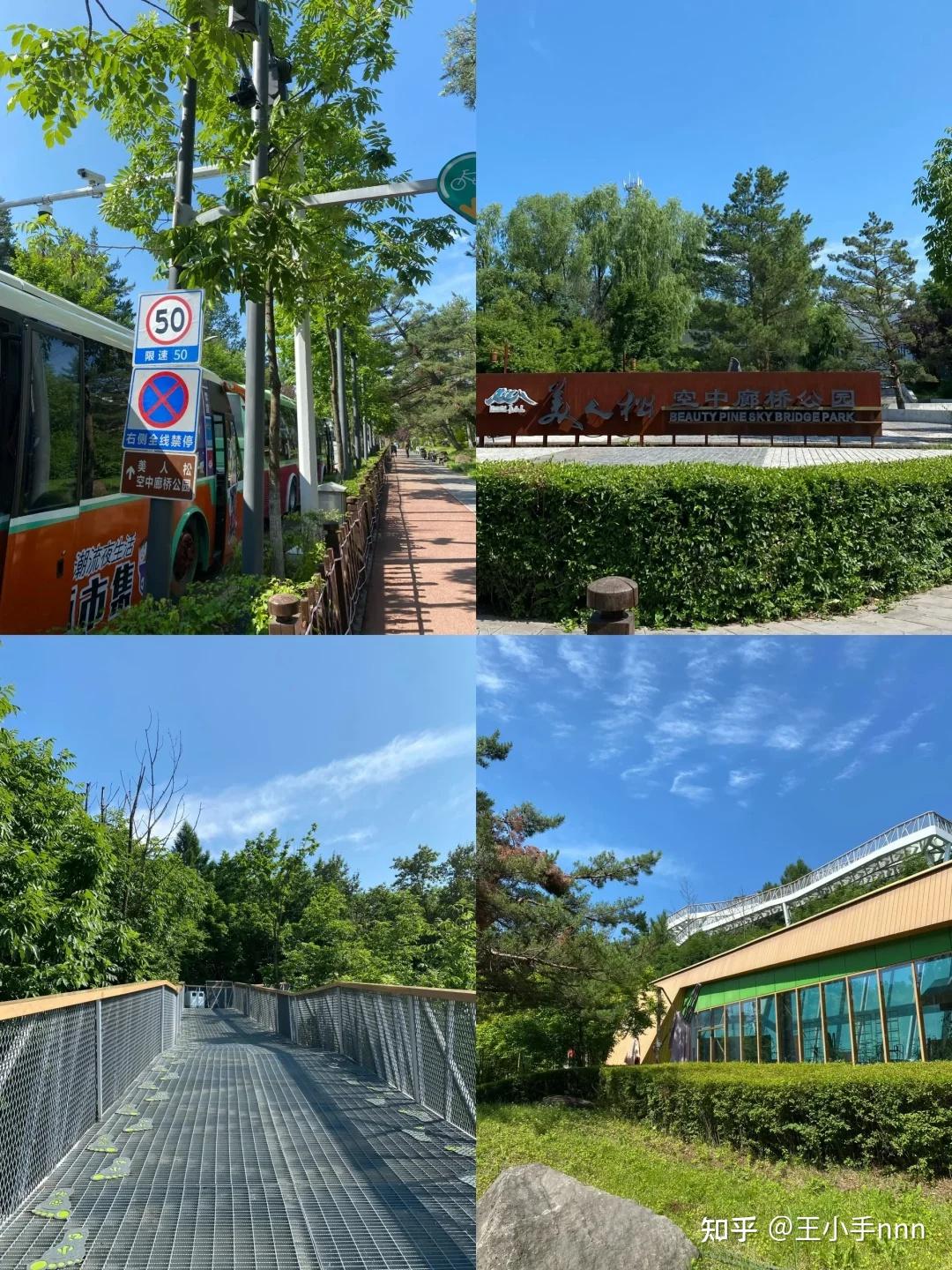 小敬带我们参观美人松空中玻璃廊桥和玻璃栈道,俯瞰美丽小镇.