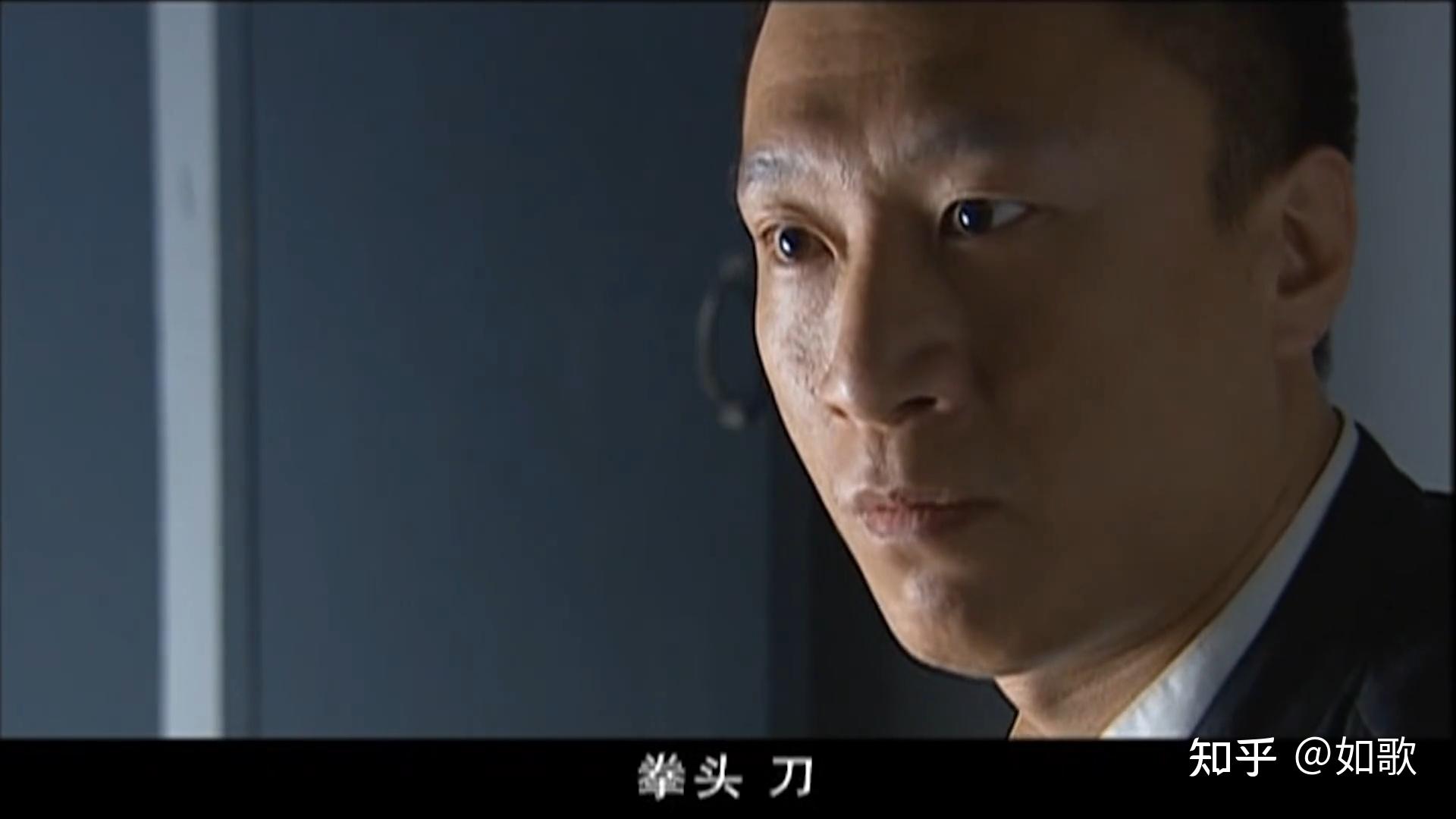 20集电视连续剧征服