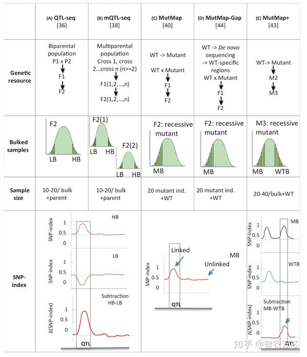 Trends In Plant Science 