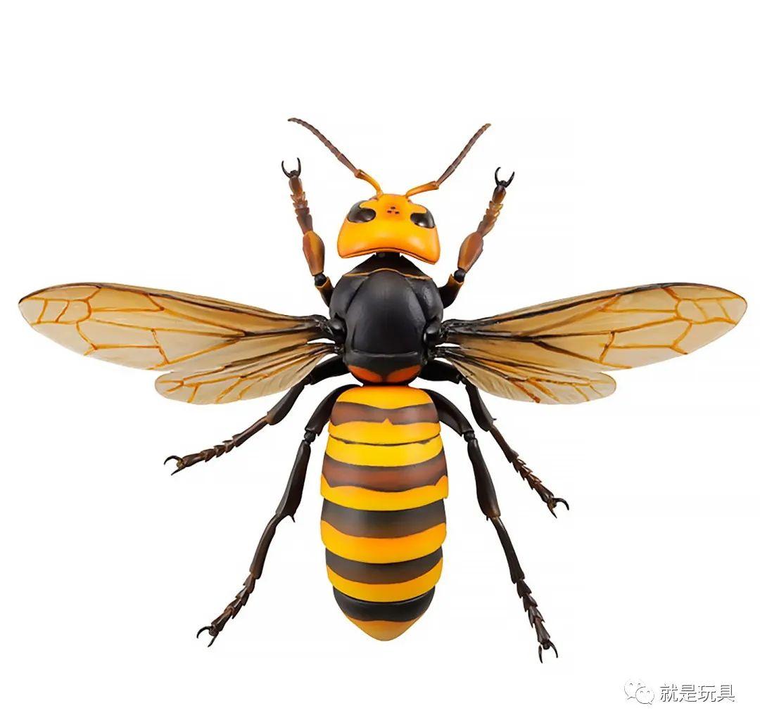 海洋堂"究极可动生物"!这才是大黄蜂的真.大哥