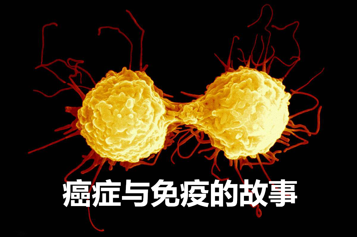 什么是基因突变病呢 v2-6311f505aef764e6a390c149b4688807_1440w.jpg?source=172ae18b