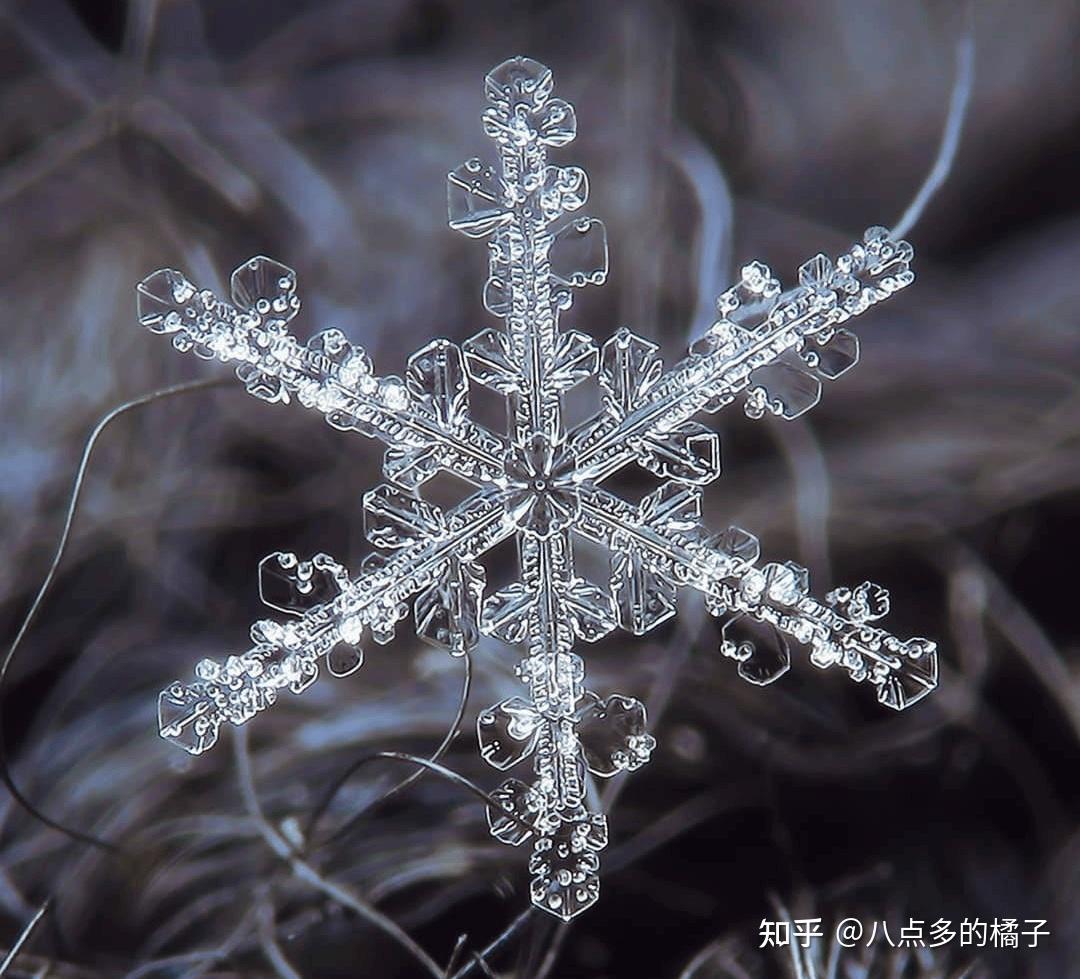 钻石尘:冰晶织就的冬日幻梦 - 知乎