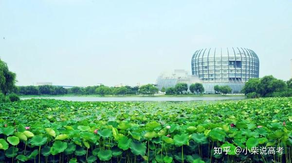 華北大學的分數線_2024年北華大學錄取分數線_2020年華北大學錄取分數線