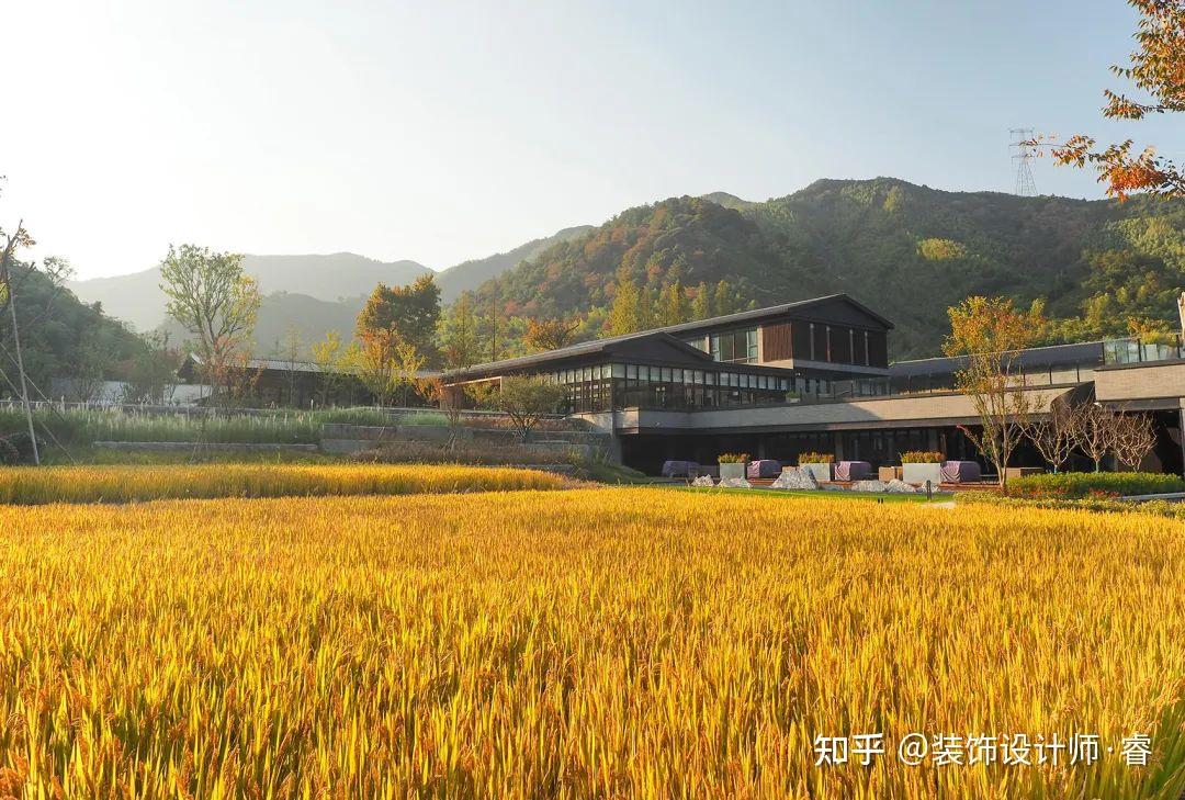 每日设计分享——安吉柏翠姚良度假酒店 - 知乎