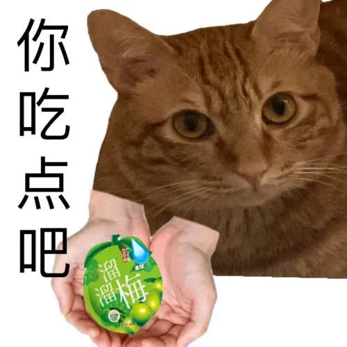 一组可爱的猫咪送花花表情包