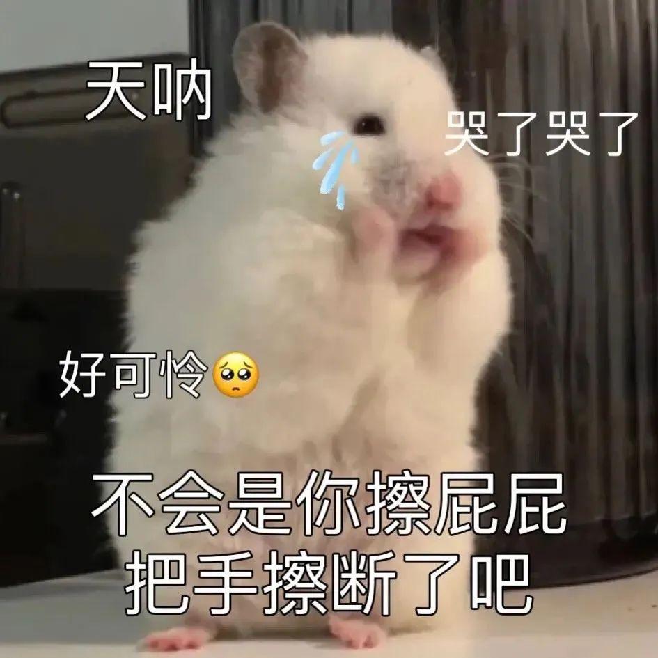 120张万能的表情包推荐-万能表情图片大全