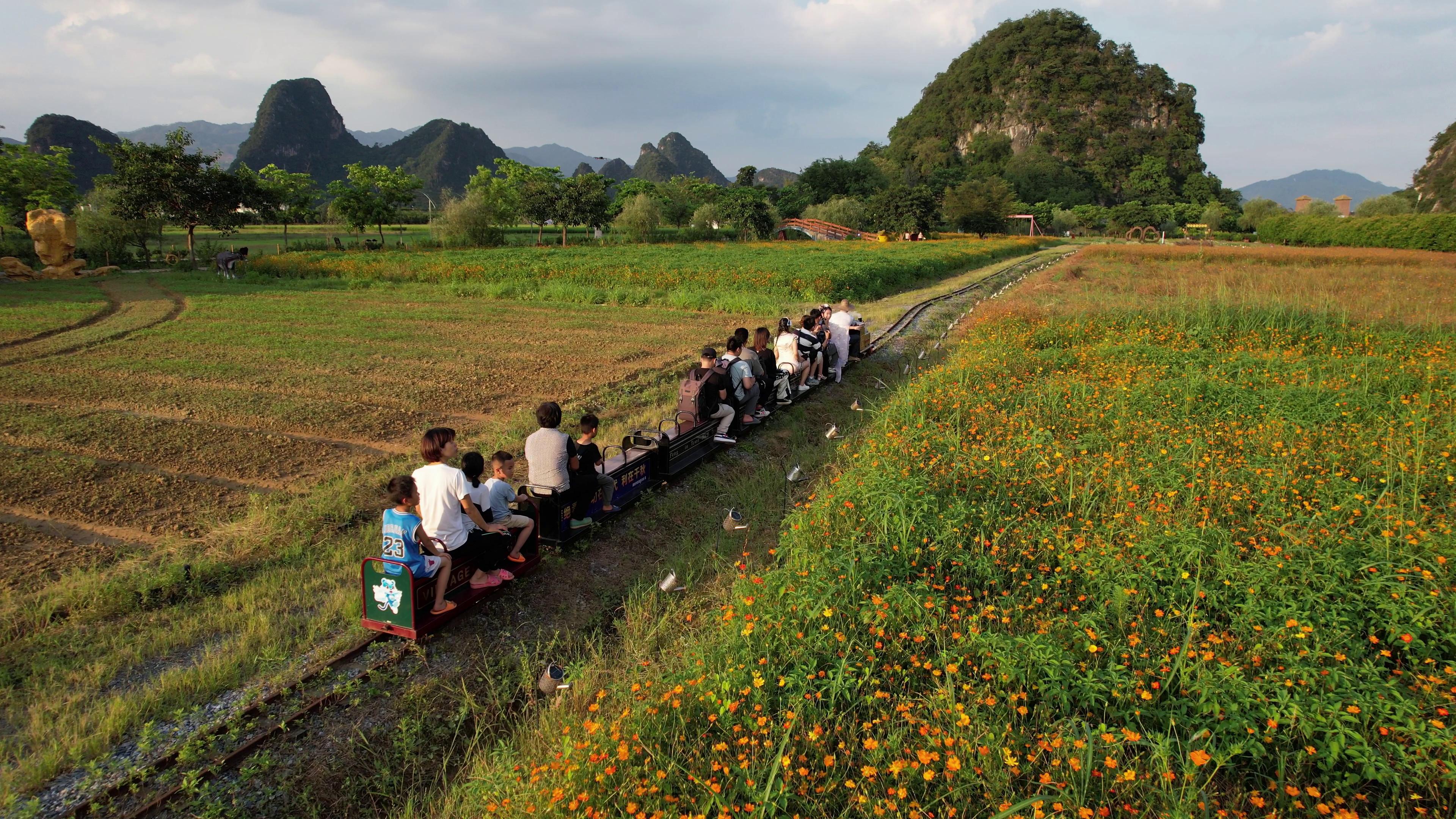 清远旅游夕阳西下的稻田风光坐着小火车去风吹麦浪的丰收季