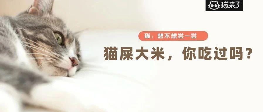 v2-6339de81159cdd3156d0c5aa743e2e92_1440w.jpg?source=172ae18b