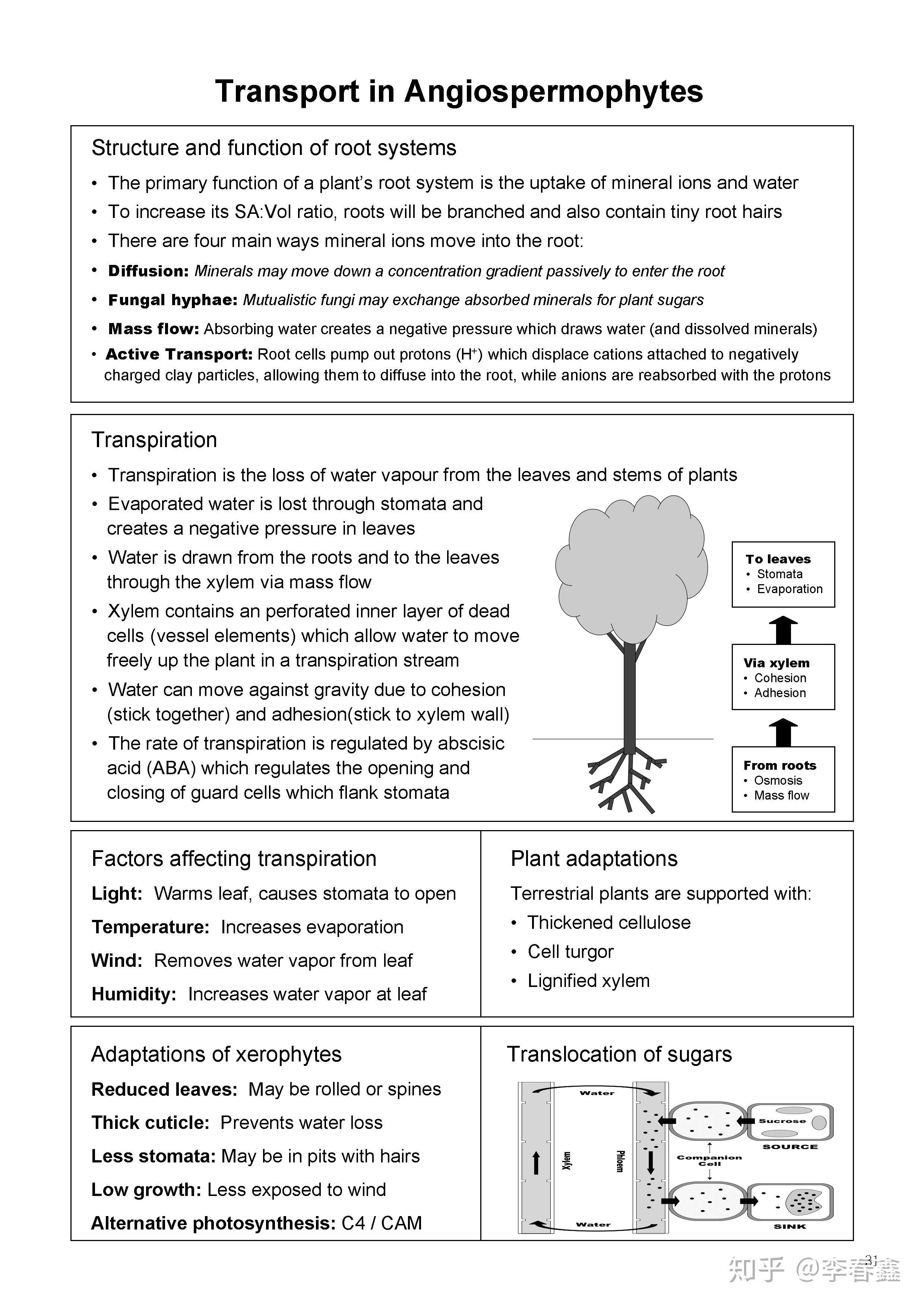 DP Biology Quick Note for Revision (DP生物快速复习手册) - 知乎