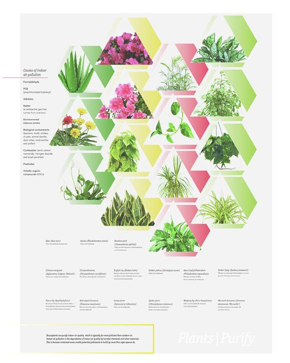 我想考美国平面设计硕士 本科在北京一所二本