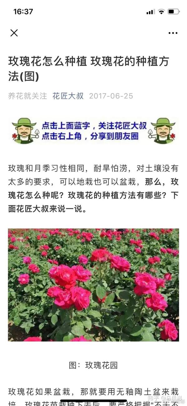 seo软件百亿互刷工具 50个小众的跨境电商SEO关键词分析工具(一)-U9SEO seo软件百亿互刷工具 50个小众的跨境电商SEO关键词分析工具(一)-U9SEO