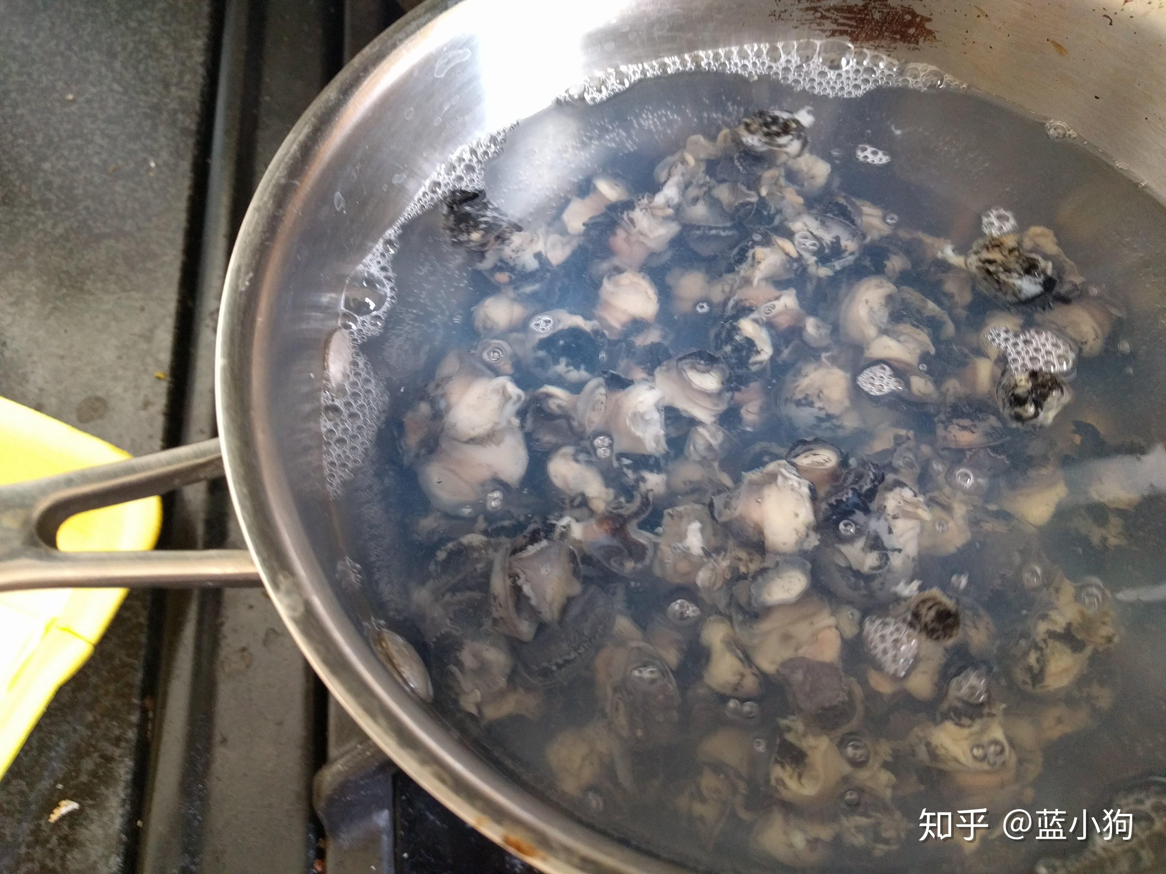非洲大蜗牛，肉多味美，法国人拿来当美食，在中国真的不能吃吗？|蜗牛|蔓延|南方_新浪新闻