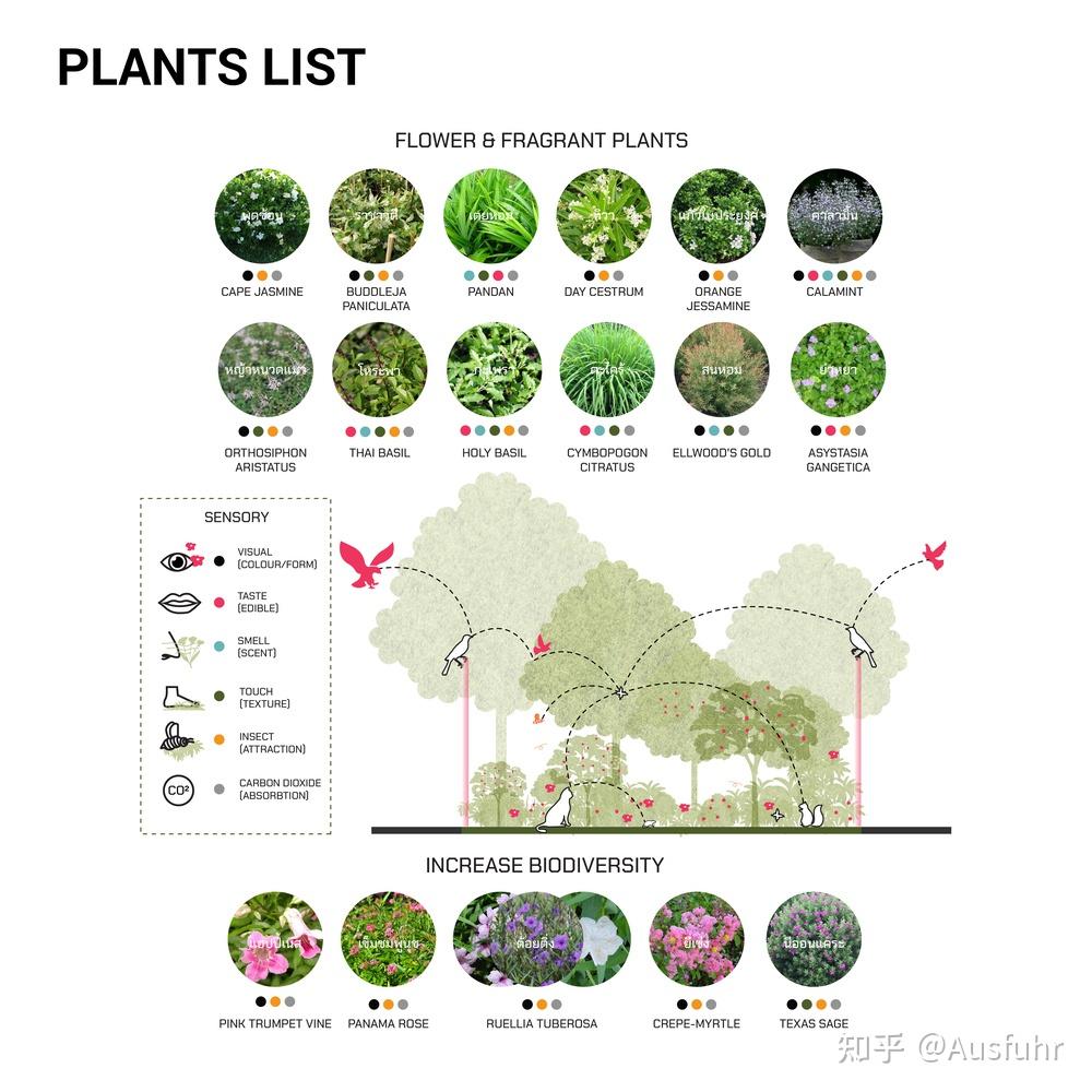 集# #建筑设计##配色设计# #建筑# #建筑学# #建筑留学# #建筑分析图