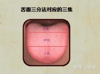 中医舌诊详解大全(独家讲义) - 知乎