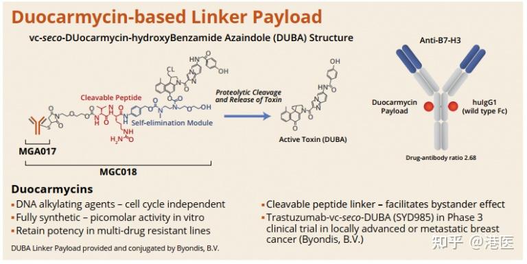 Asco2021值得关注的临床肿瘤科科研成果，fda特批5个癌症希望之药 知乎