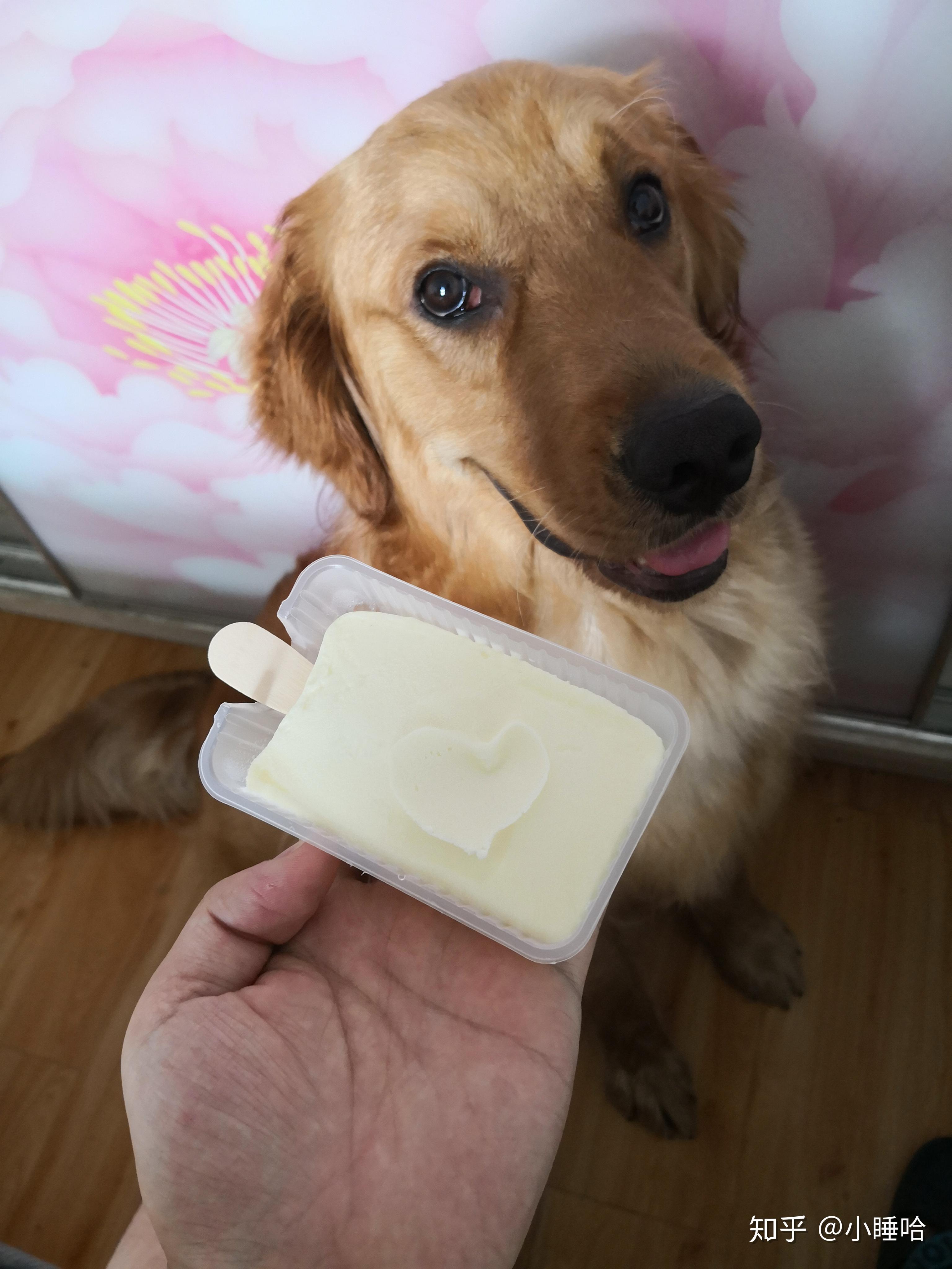 不看抖音,不看快手,不看火山小视频,不玩王者,不