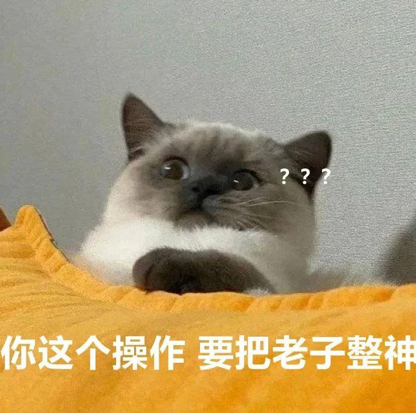 沙雕表情包