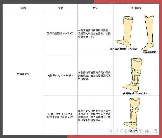 下肢假肢价格及图片图片