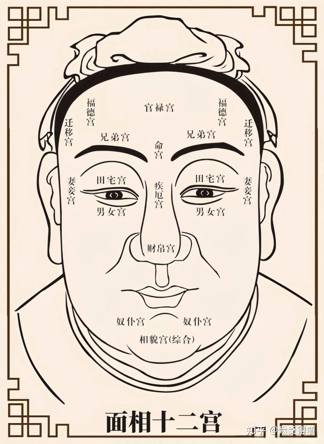 面相基础篇:麻衣相法五官、三停与十二宫详断 - 知乎