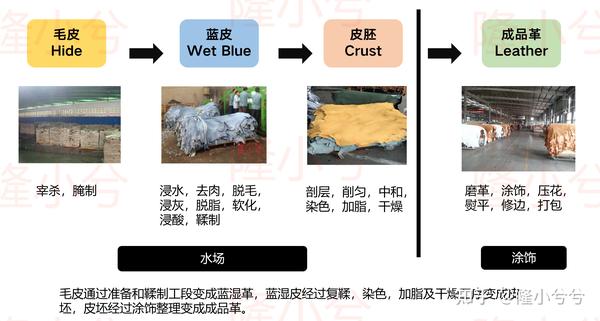 【真皮知识】真皮的等级 - 知乎