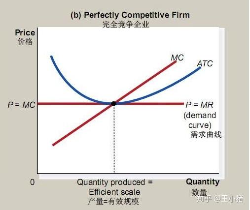 完全竞争市场成本分析曲线例子市场:农产品市场4 信息完全性3 供给方