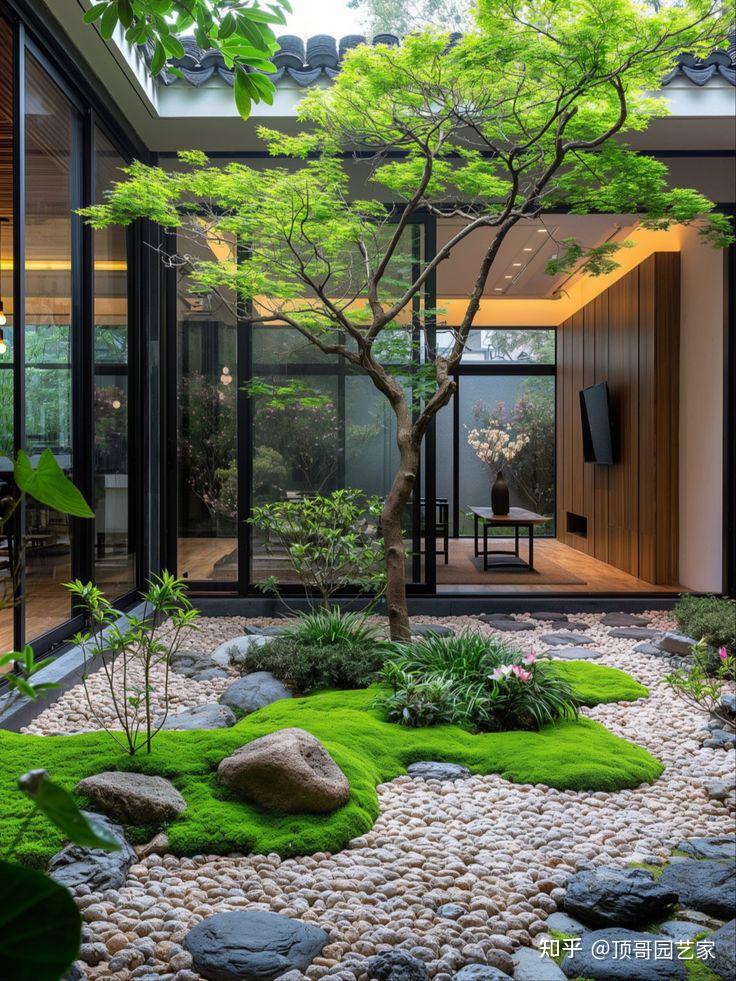 禅意庭院适合种植哪些植物? - 知乎
