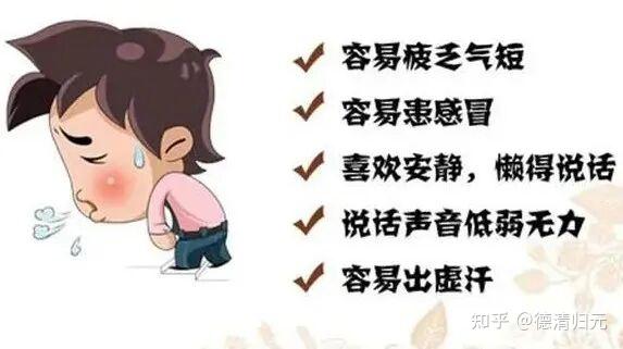 气虚体质的人,如何调理? - 知乎