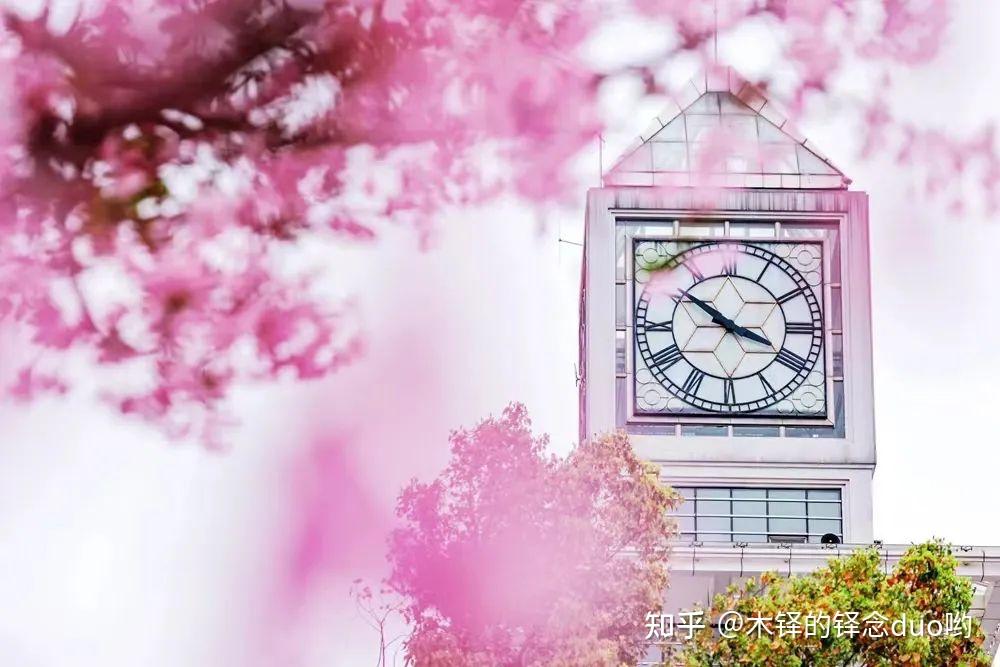 专业课274分!本科双非,一战中南财经政法大学,初复试 