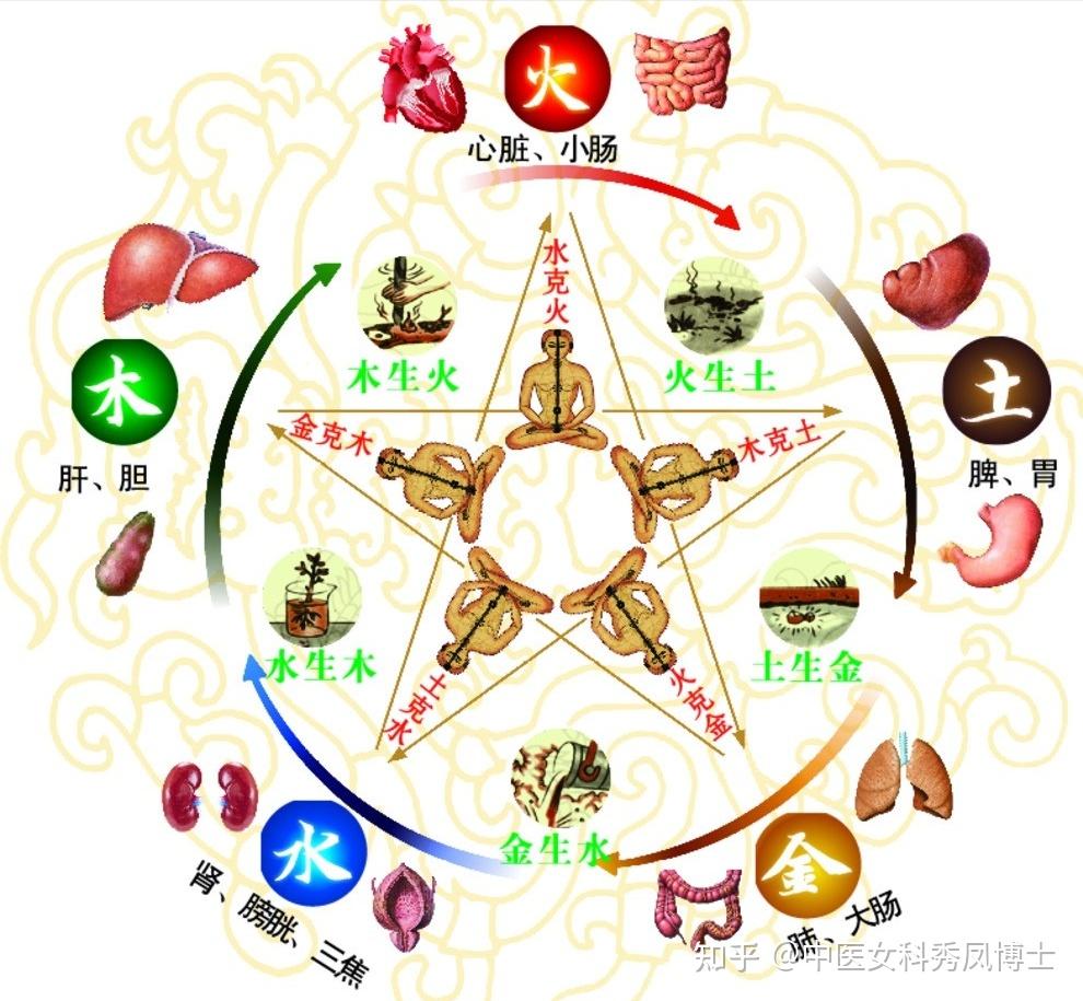 中医上把这种月经腹泻叫作经行泄泻,和肝脾肾有关.