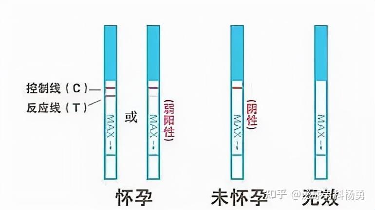 并不一定验孕棒的准确率可以达到90%以上