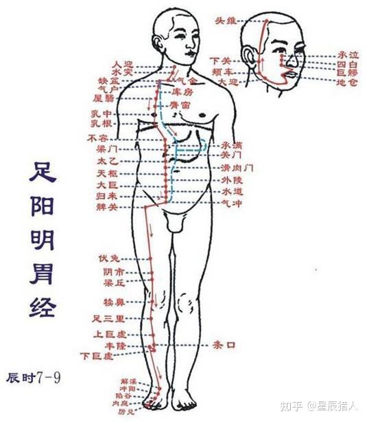 中医经络图解图片