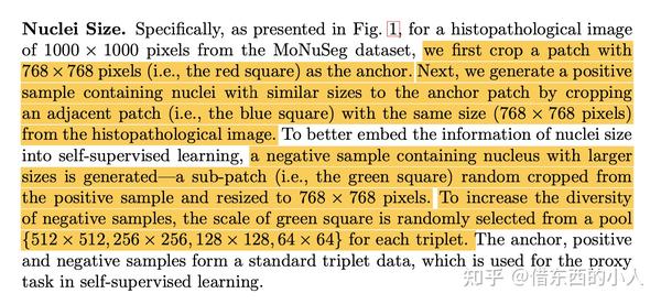 scale-count-instance-aware-self-supervised-learning-for-nuclei-segmentation