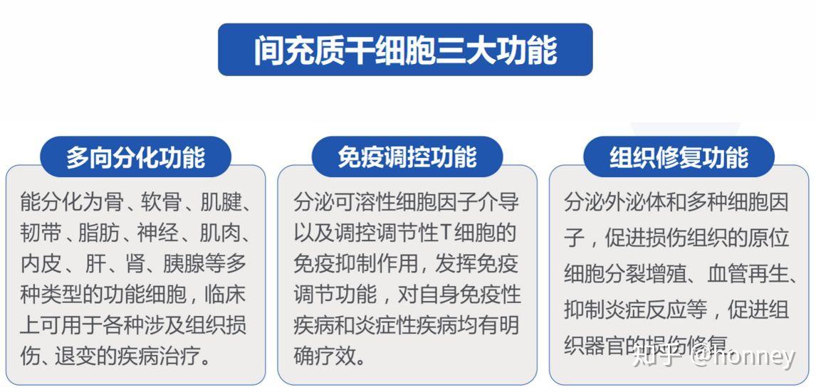 干细胞疗法真的能彻底治好糖尿病吗?