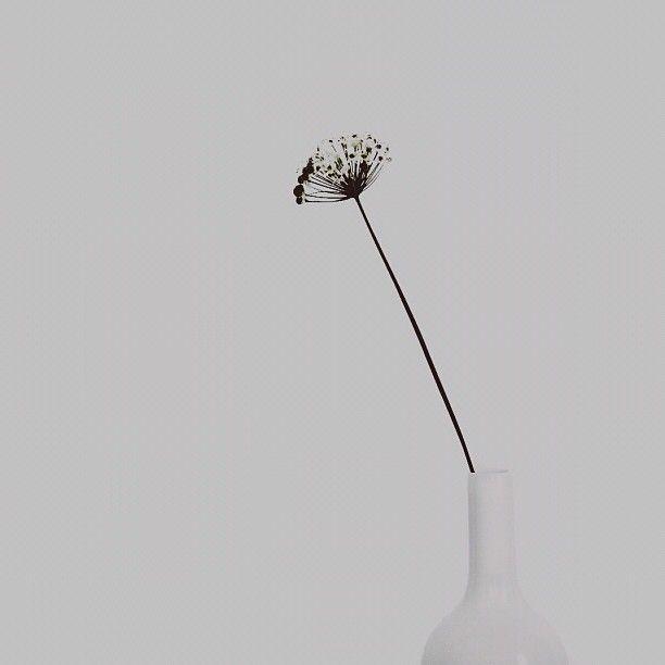 有没有意境文艺简约男生用的头像