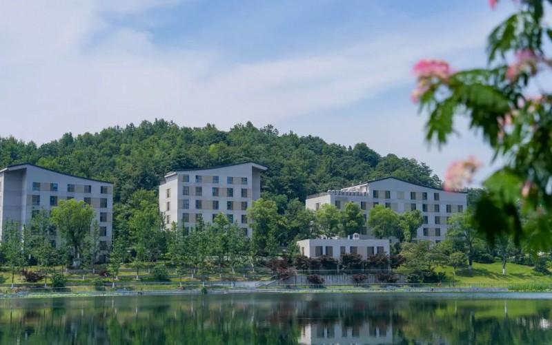 威雅学校:2025年秋季学期新生招生简章 - 知乎