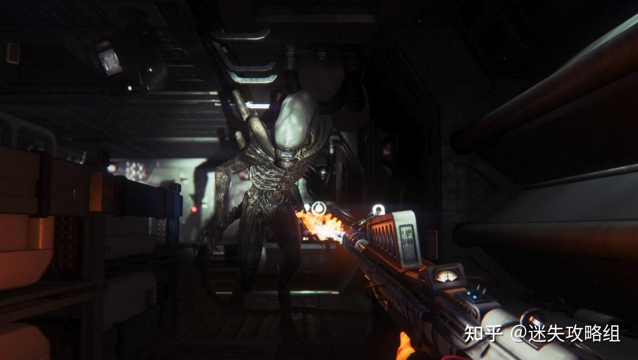 梦之桥,跨越恐惧与未知的隐喻之旅 梦之桥,跨越恐惧与未知的隐喻之旅