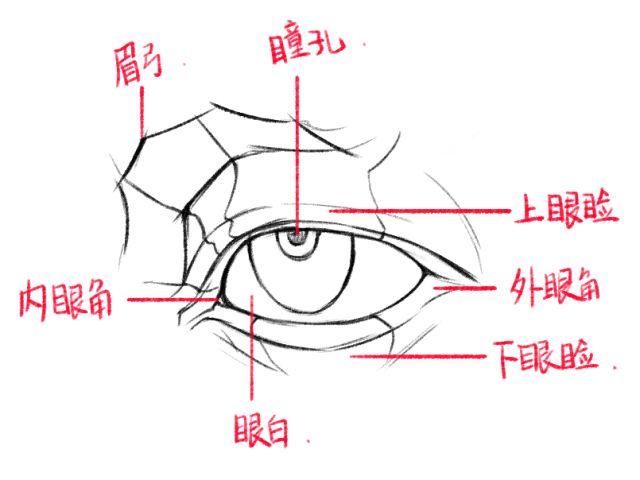 第十一篇二次元眼睛的画法丨阿汤哥美术教程