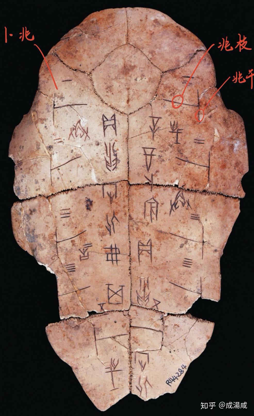 历史上有哪些「鲁鱼亥豕」之误? - 知乎