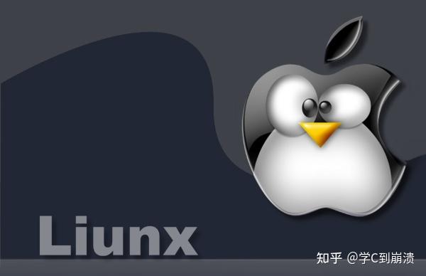 掌握Linux技能，在当今技术世界中真的必要吗？