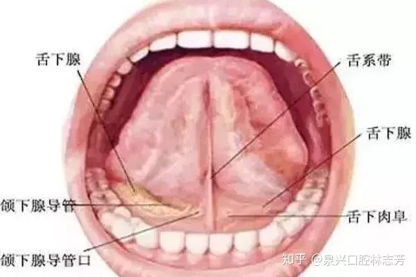 婴儿攀舌的症状图片图片