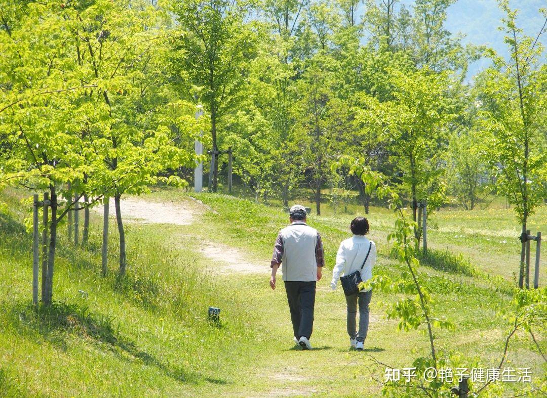 早上慢跑半小时,晚上散步一小时,到底哪一个更能帮助养生? - 知乎
