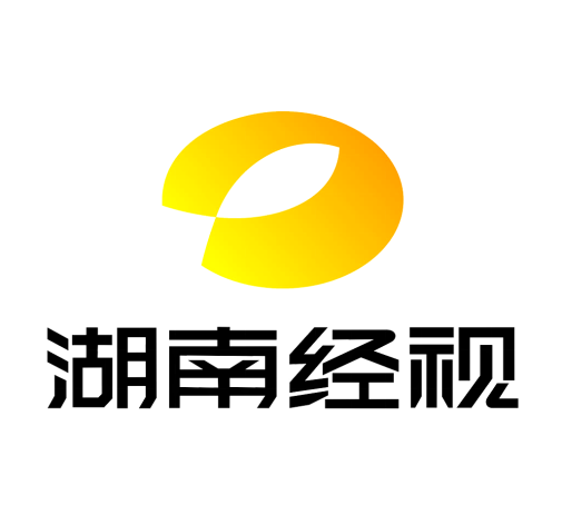 湖南电视剧频道logo图片