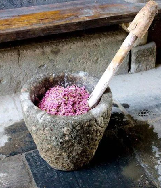 五月是收蓼花做酒曲的时候,这时采下蓼花,然后洗净,晾干,抽去蓼花中的