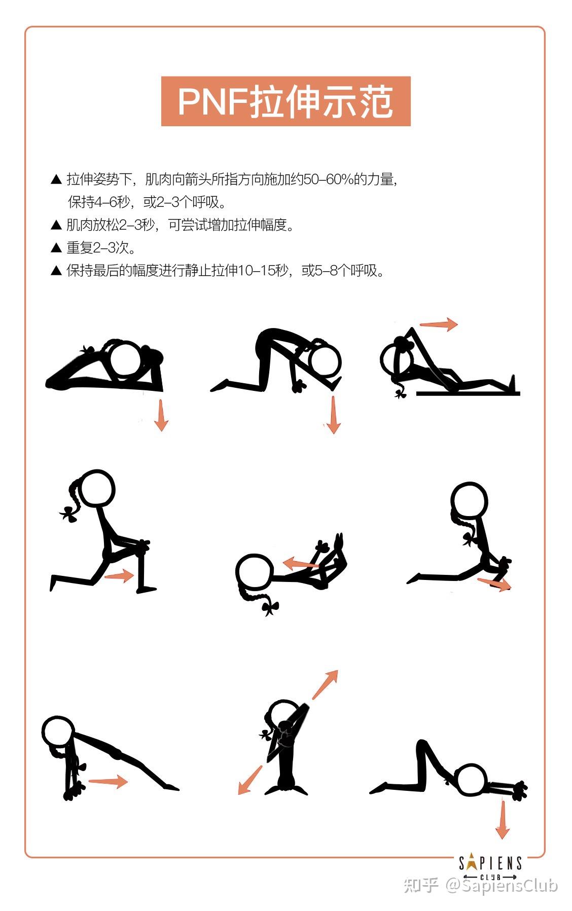 热身运动的作用图片