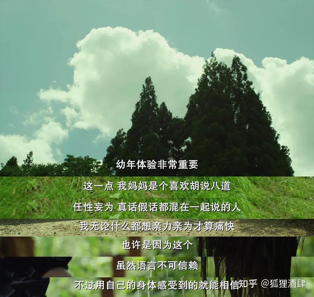 李子柒不在,看她,评分最高日本治愈电影温暖无数人