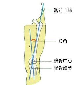膝关节物理治疗检查 (一) - 知乎