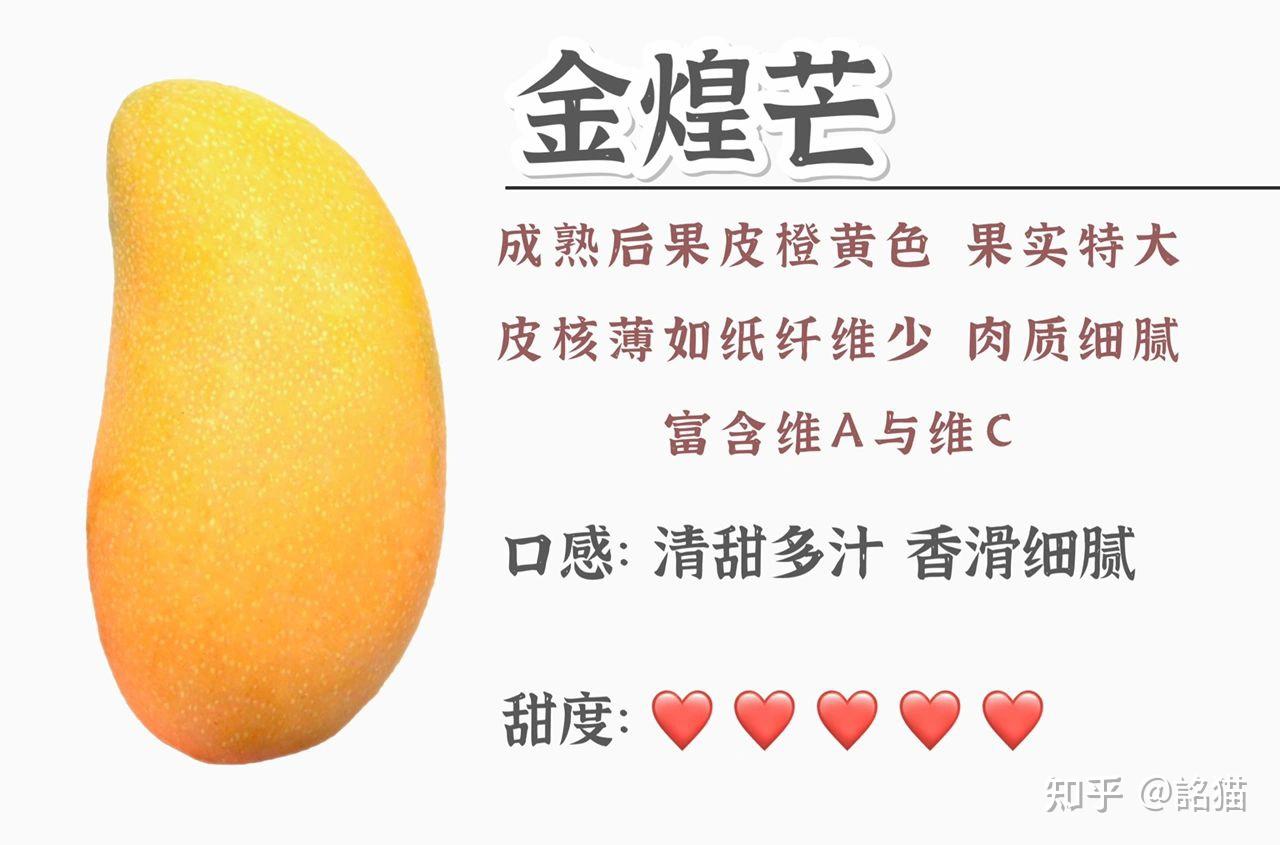常见芒果的区别:甜度及神仙吃法!