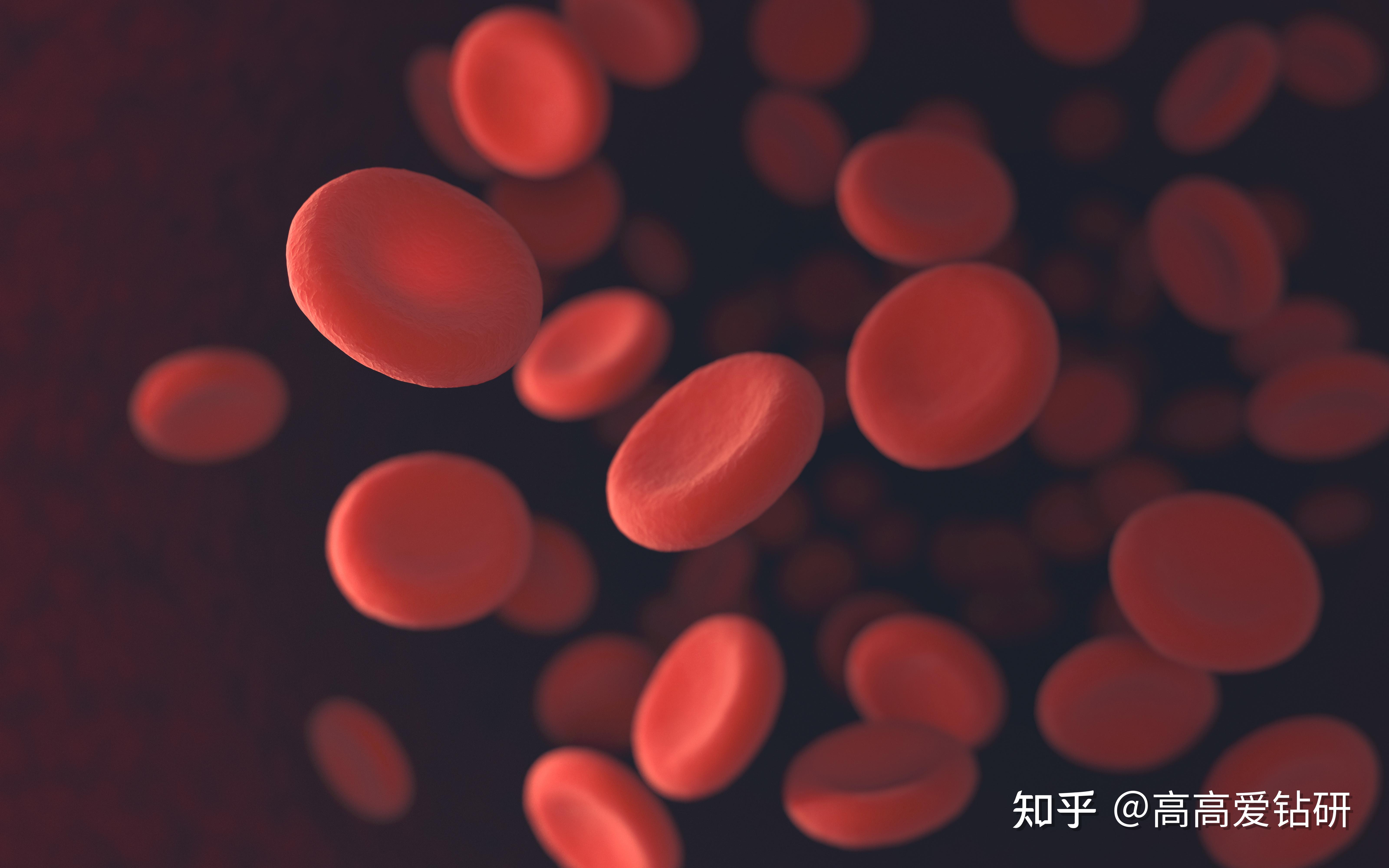 溶血性贫血是什么病？严重吗？ - 知乎