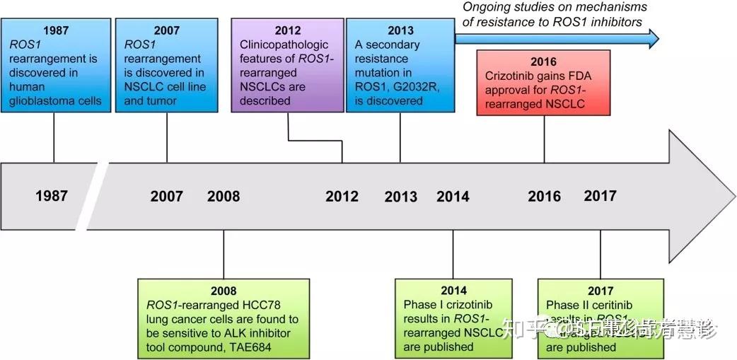 一文读懂ROS1重排/阳性非小细胞肺癌治疗 - 知乎
